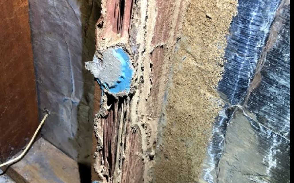 termite-inspection-structural-damage